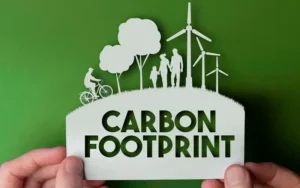 Reduce Your Carbon Footprint at Home